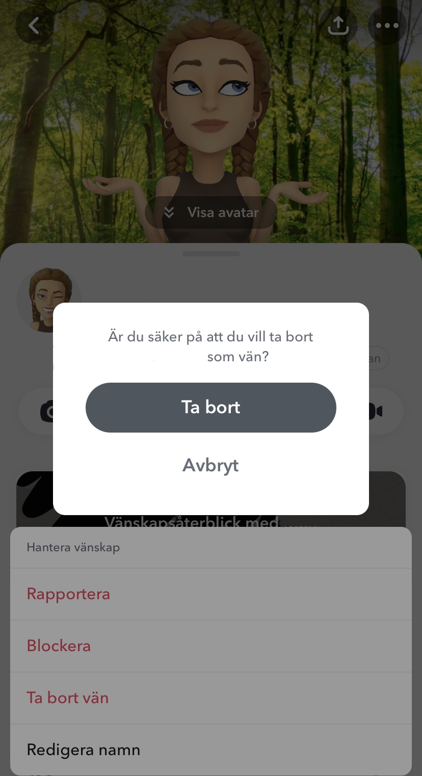 Snapchat Ta bort vän 2