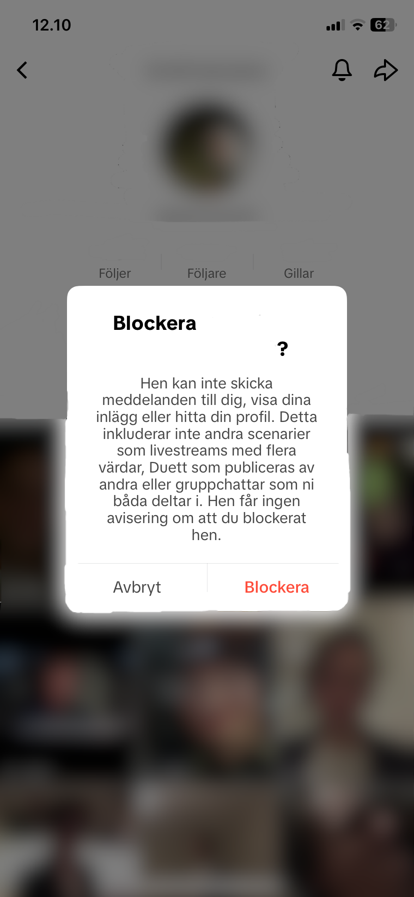 TikTok Blockering 2