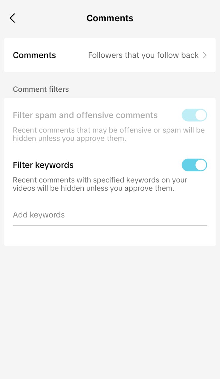 TikTok comment filters 2