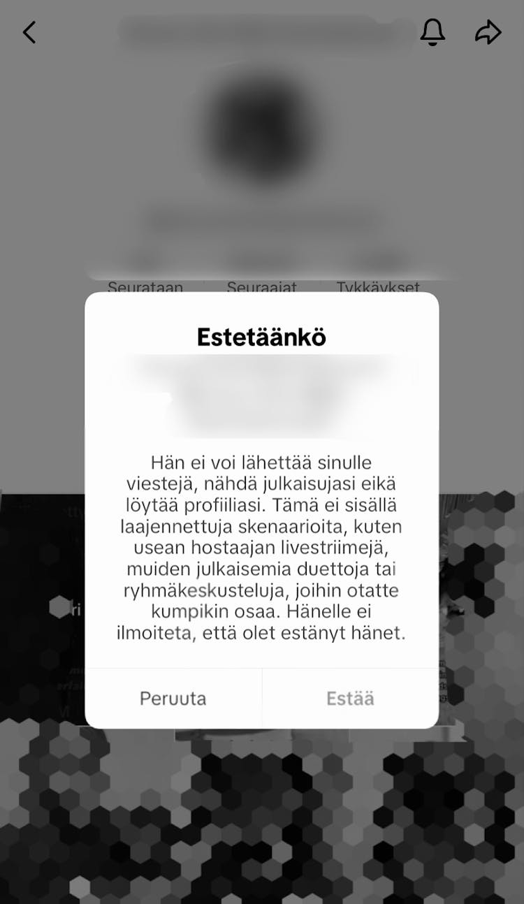 TikTok estaminen 2
