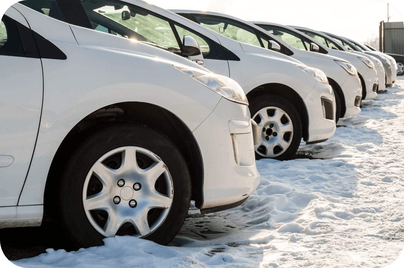 Industries Thriving with Our TMS: Unleash Efficiency Across Your Business