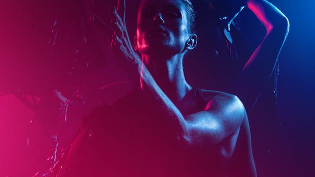 Bionic, EMS, Electro Muscle Stimulation, Personal Training, Personal Trainer, Fitness, Lifestyle, Design, Modern, Efficient, Exclusive, 20 minutes, Join the Fitness Revolution, Powerful Personal Training, Next Generation Sports, muscle buildup, fat reduction, body toning, back strengthening, body strengthening, intensive workout, studio, downtown, city, Zurich, Zug, St. Gallen, Luzern, Basel, Stockholm, Dallas, Switzerland, Sweden, USA