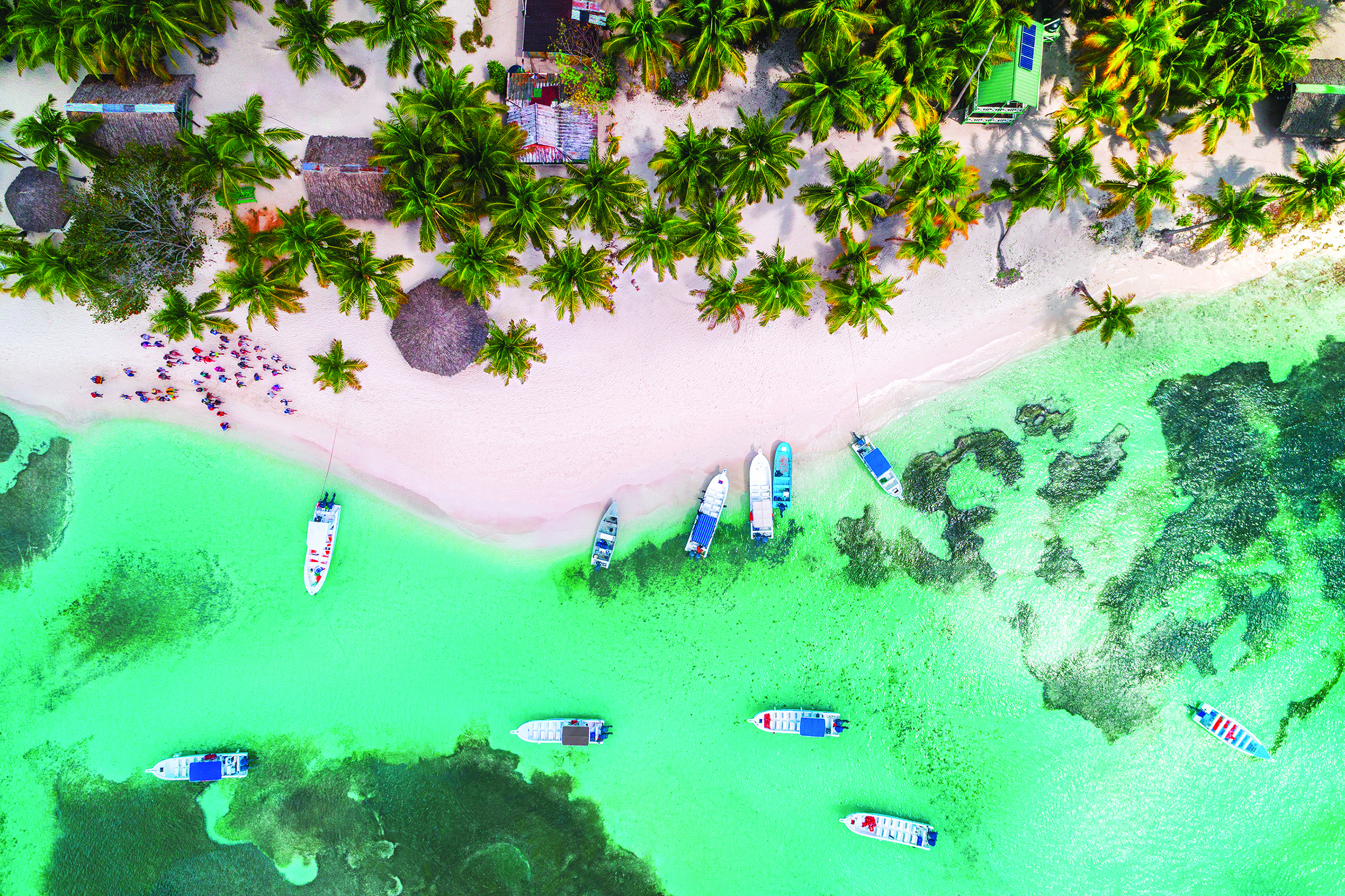 Plan Your Trip to Punta Cana Arajet