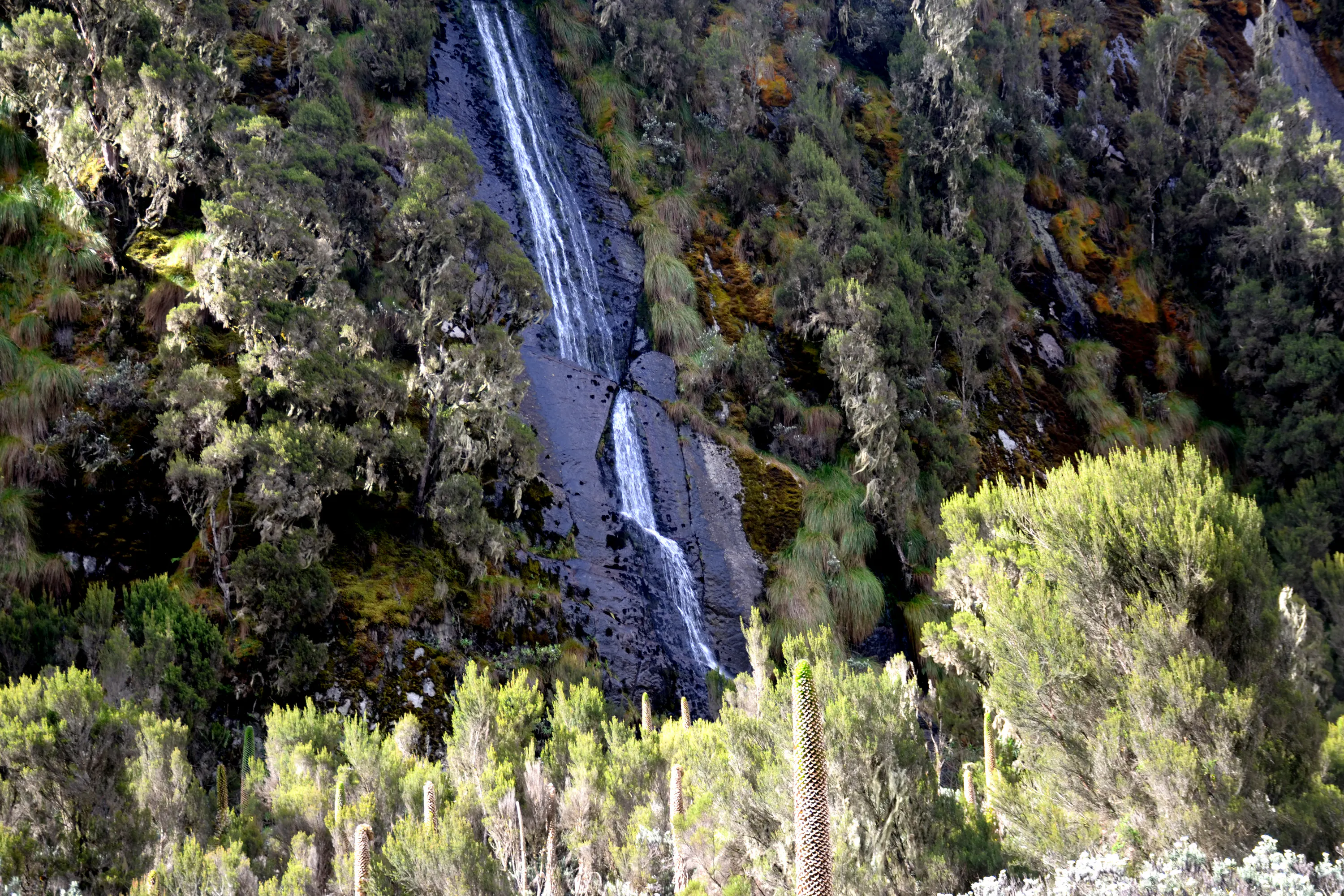 Trail Waterfall, Rwenzori · Wikimedia Commons / CC-BY-SA