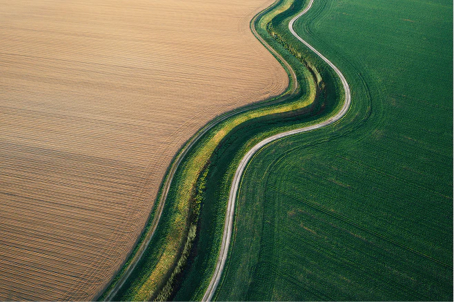 Road through field of wheat and grass