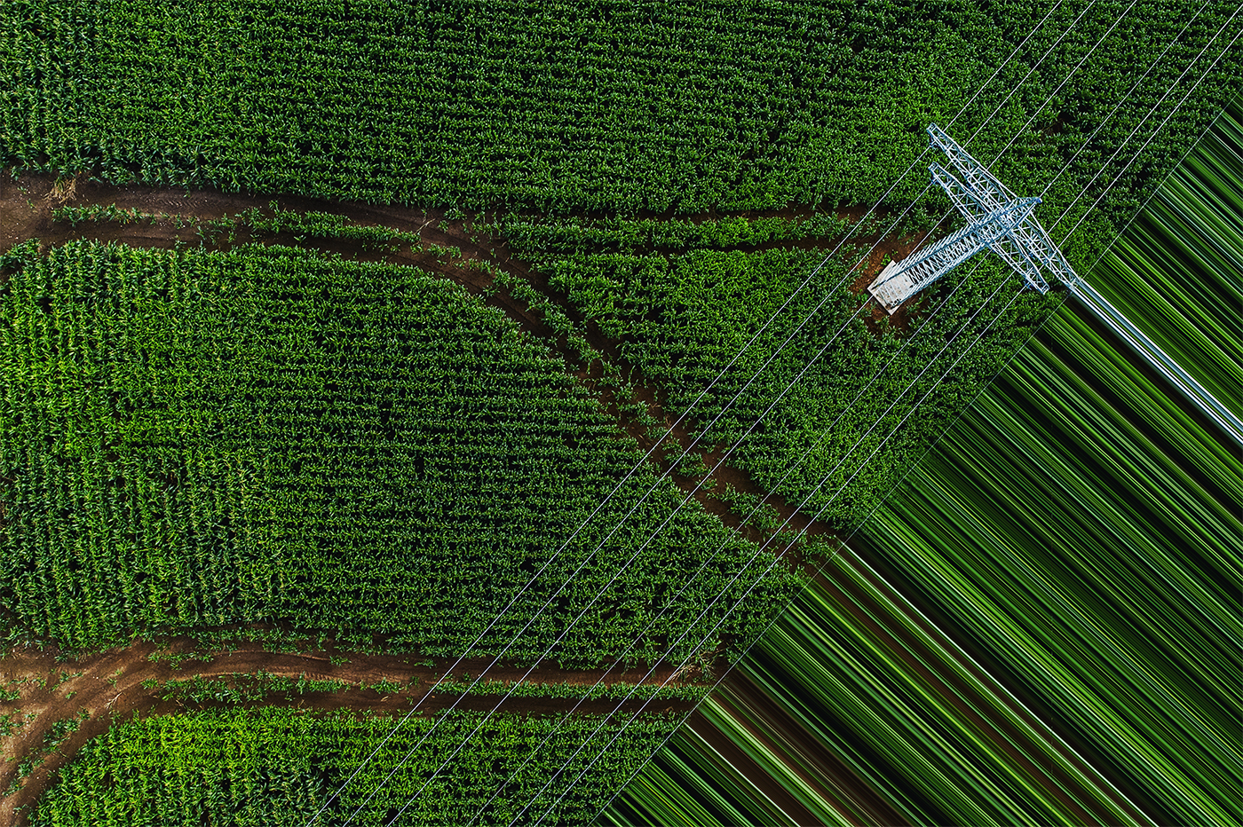 Aerial view of field with electricity pylon and power lines