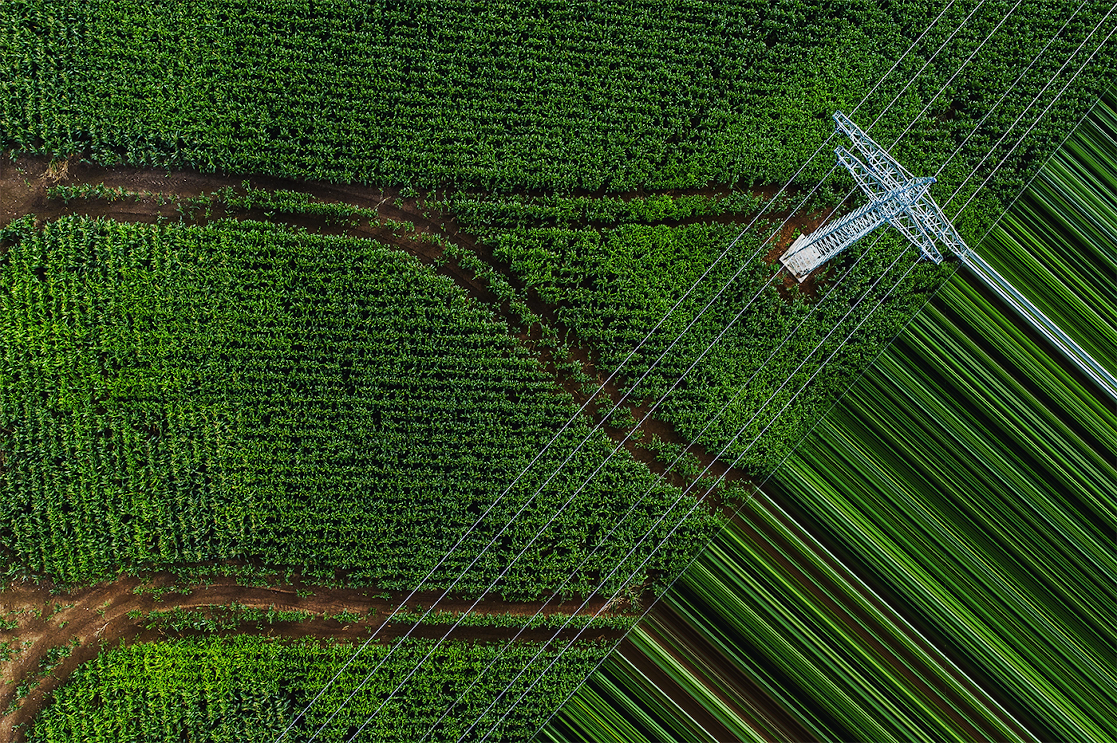 Aerial view of field with electricity pylon and power lines