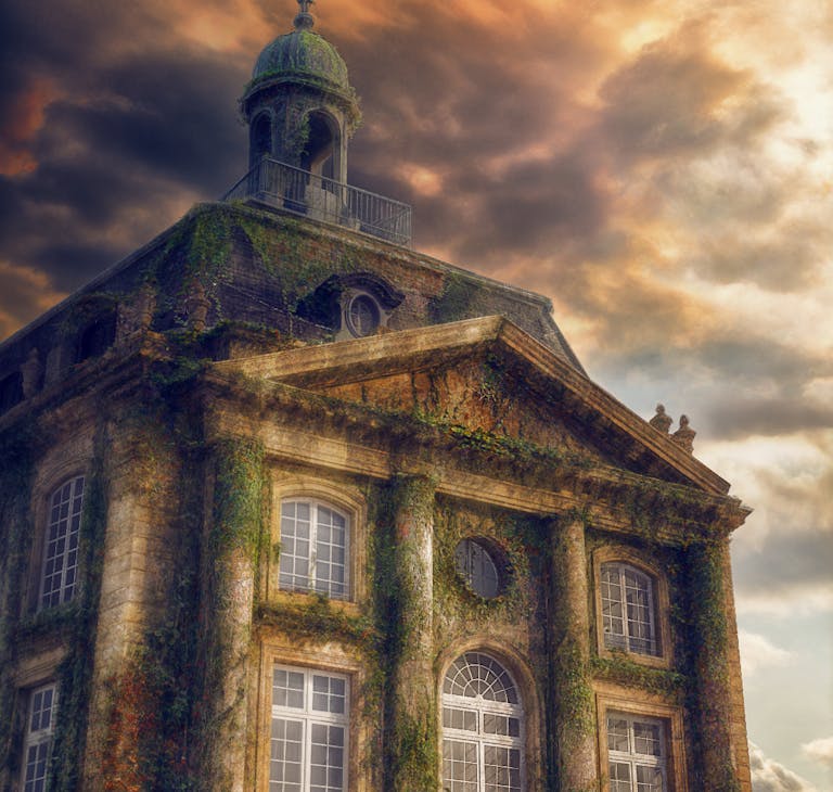 La nature reprend ses droits et un abonnement à Netflix - vue 3D