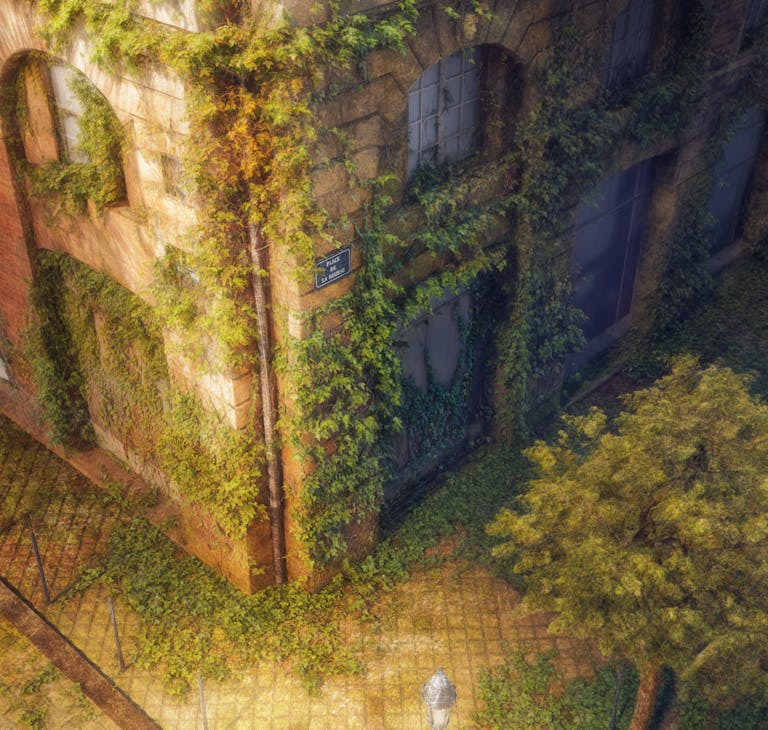 Renaissance sauvage - vue 3D