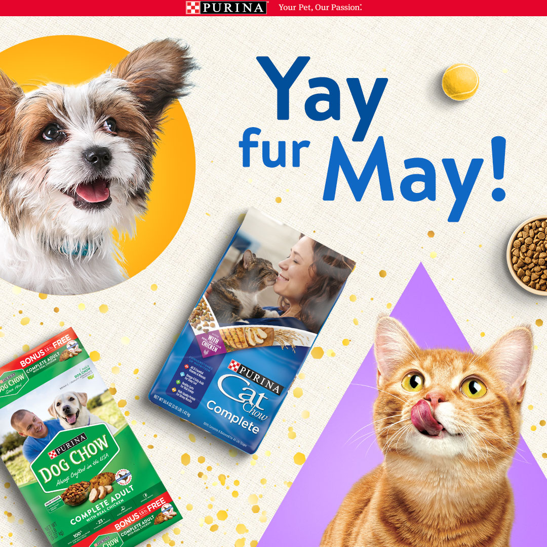 Celebrate National Pet Month with Purina Arc Worldwide