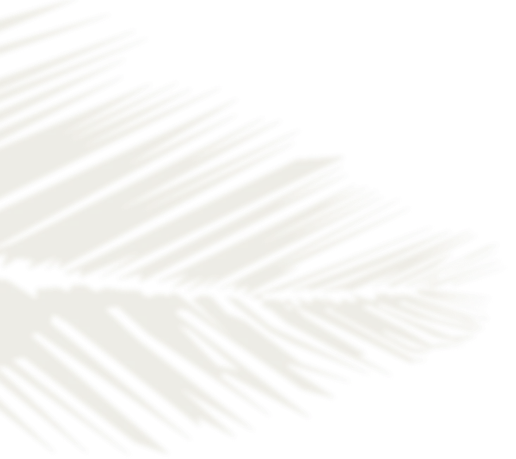 cta-1-ombre-palmier