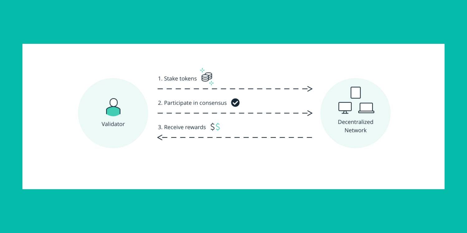 Image displays how validators work in a Proof of Stake blockchain