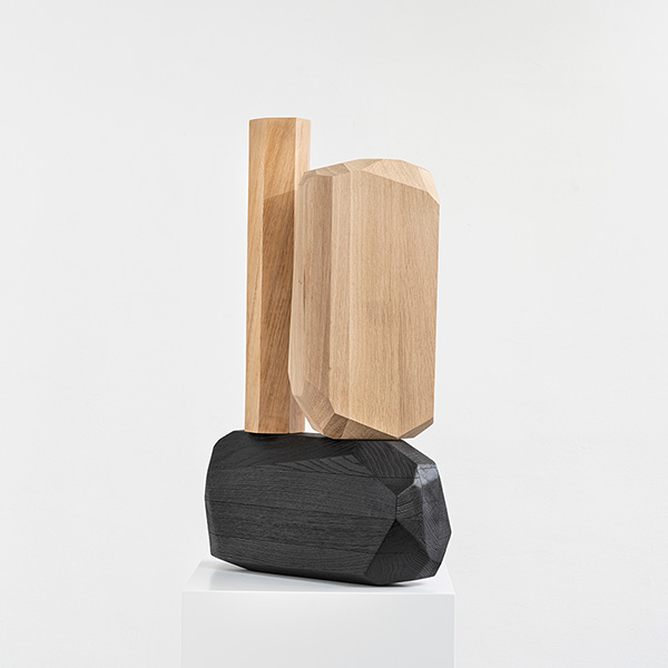 MicroRockFormationWoodFire&Log 72