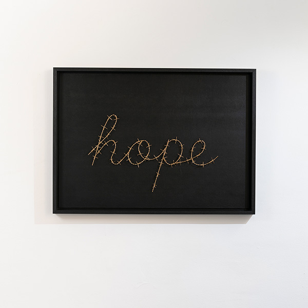 BarbedWire Hope