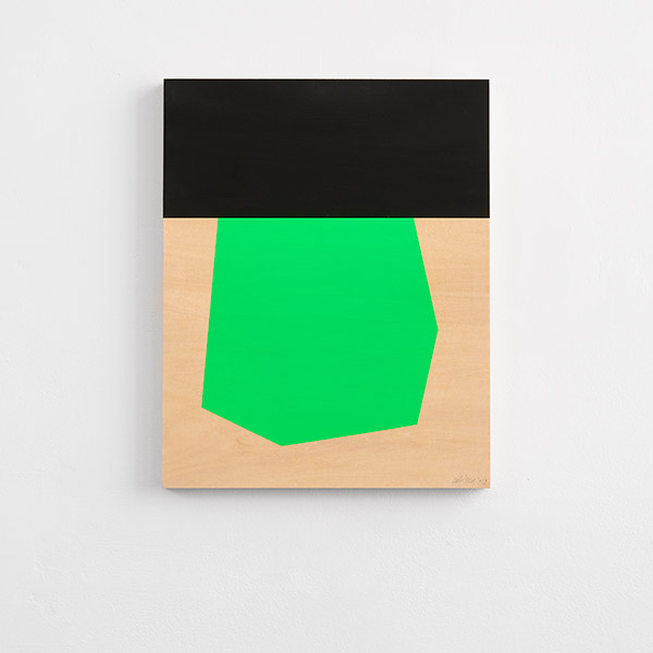 ColorFacet 013