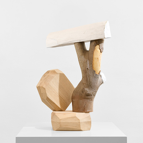 MicroRockFormationWoodLogNature 49