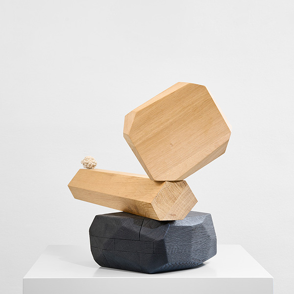 MicroRockFormationWoodFireLogNature 35