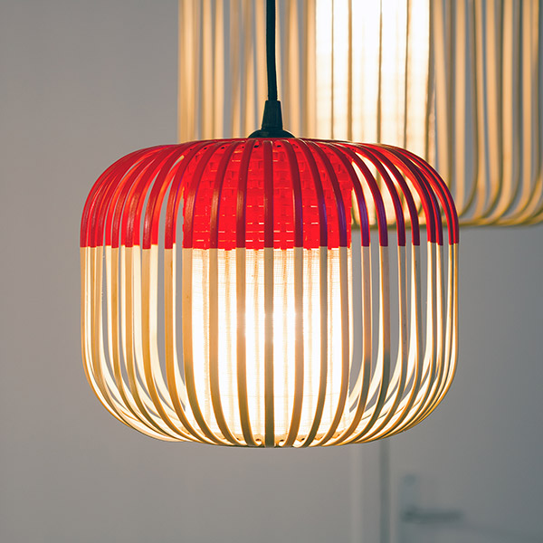 Bamboo for Forestier