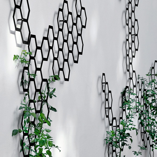 Comb-ination for Flora