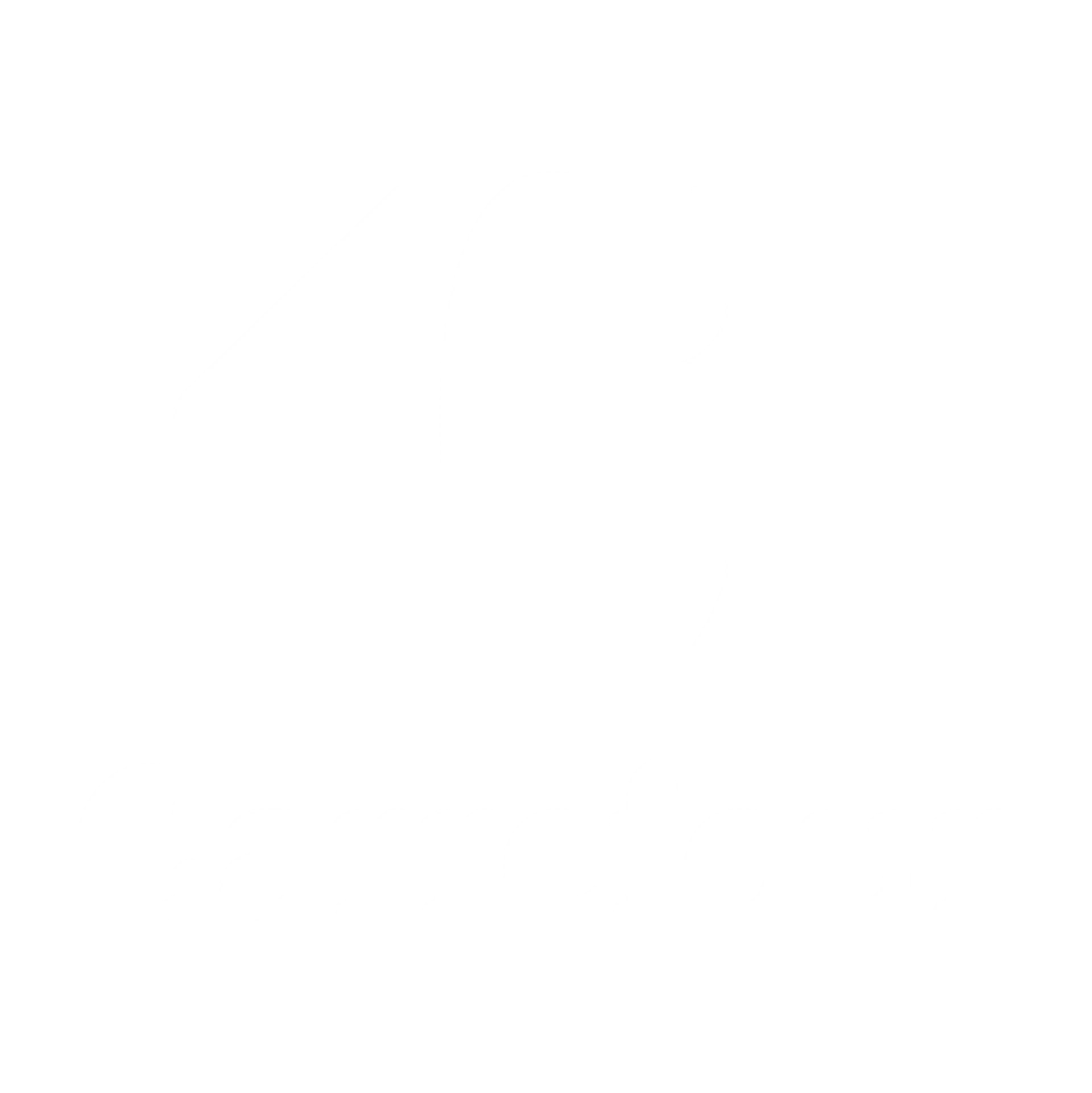logo Carrefour