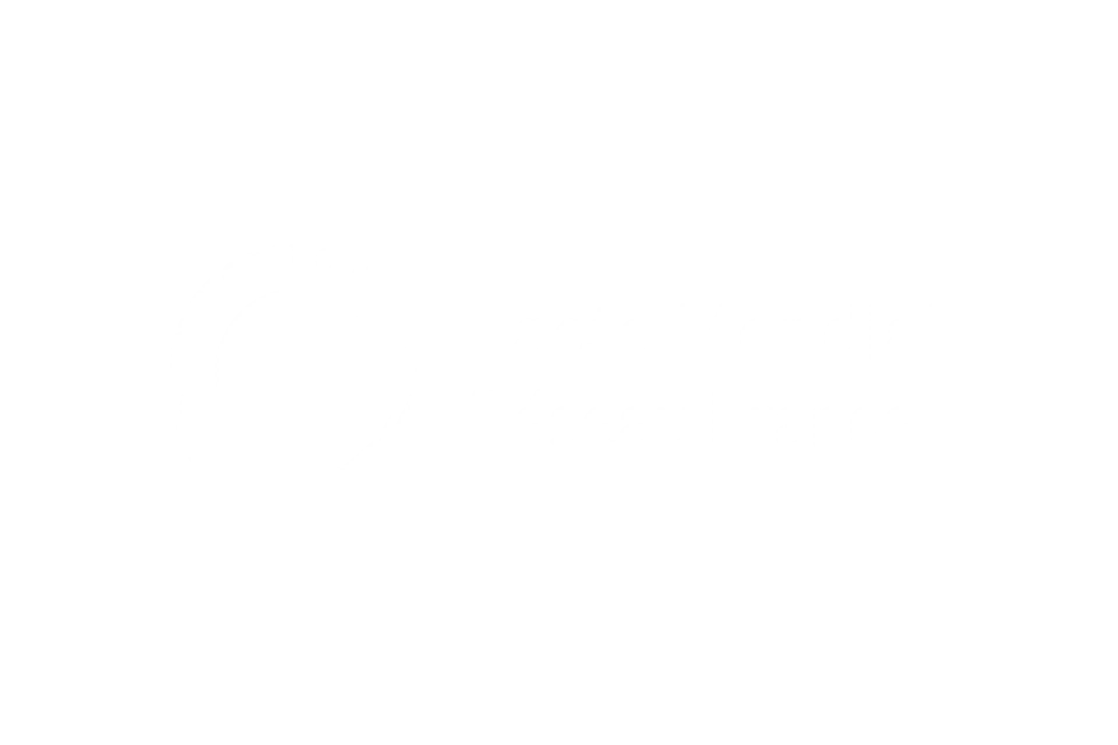 Pacte National