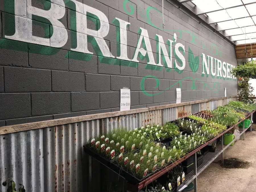 Brian's Nursery located inside Arnold's