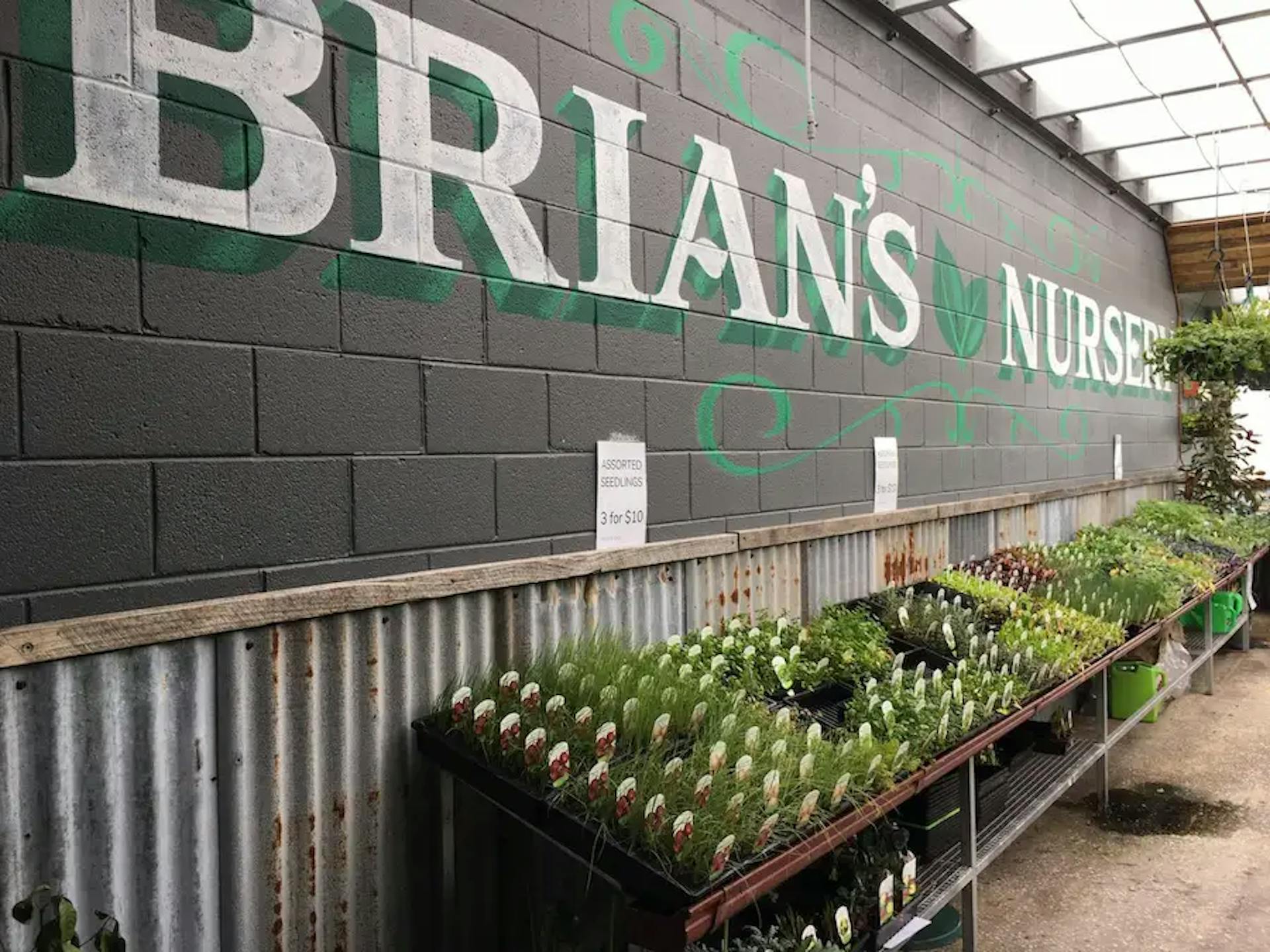 Brian's Nursery located inside Arnold's