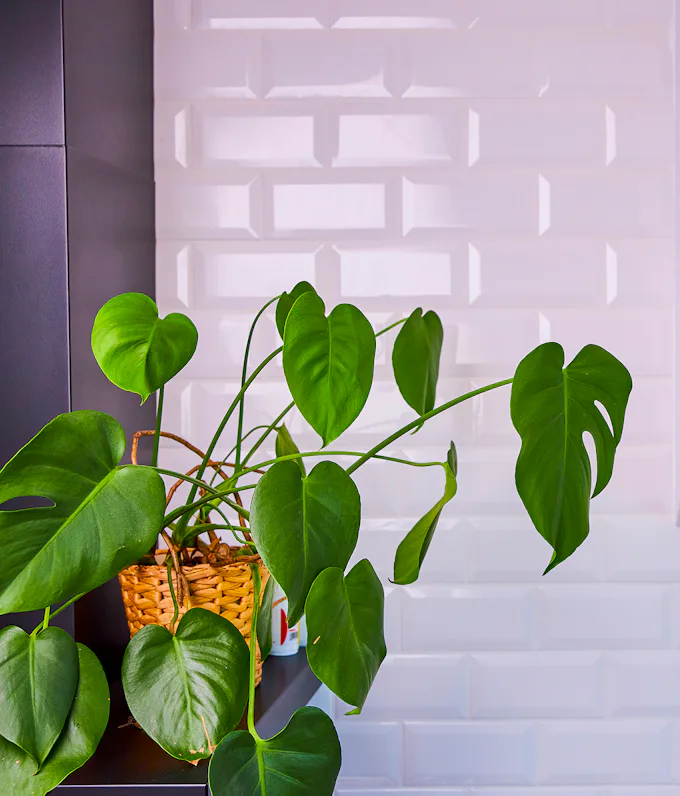 VÍS styður heimsmarkmið Sameinuðu þjóðanna