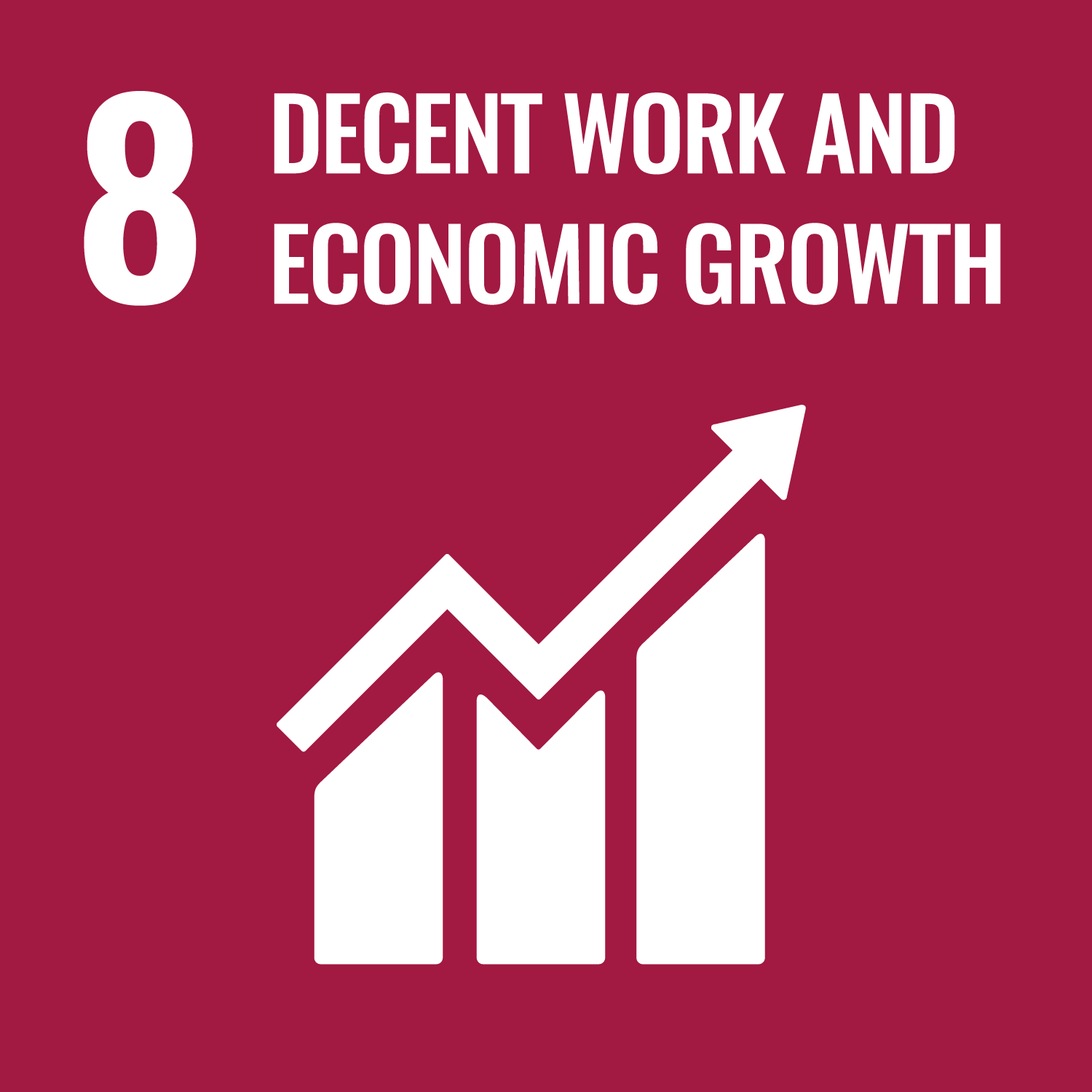 Goal number 8: Decent work and economic growth