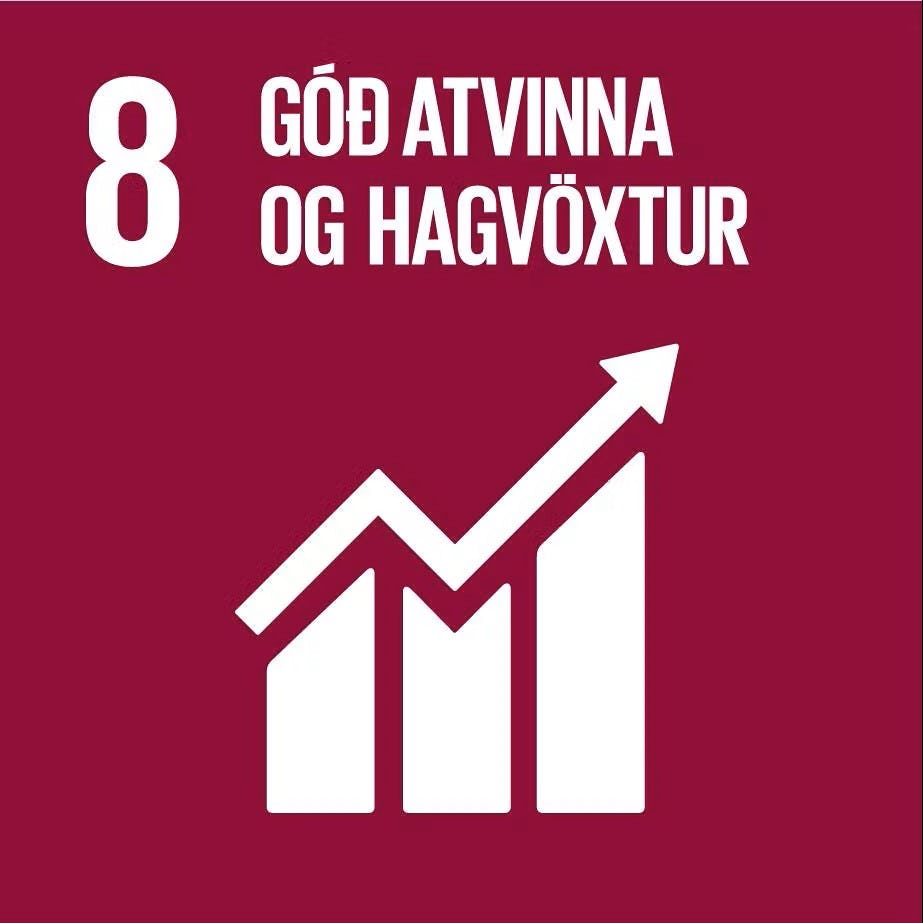 Heimsmarkmið 8 - góð atvinna og hagvöxtur
