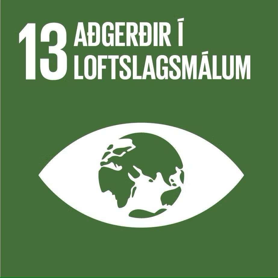 Heimsmarkmið 13: Aðgerðir í loftslagsmálum