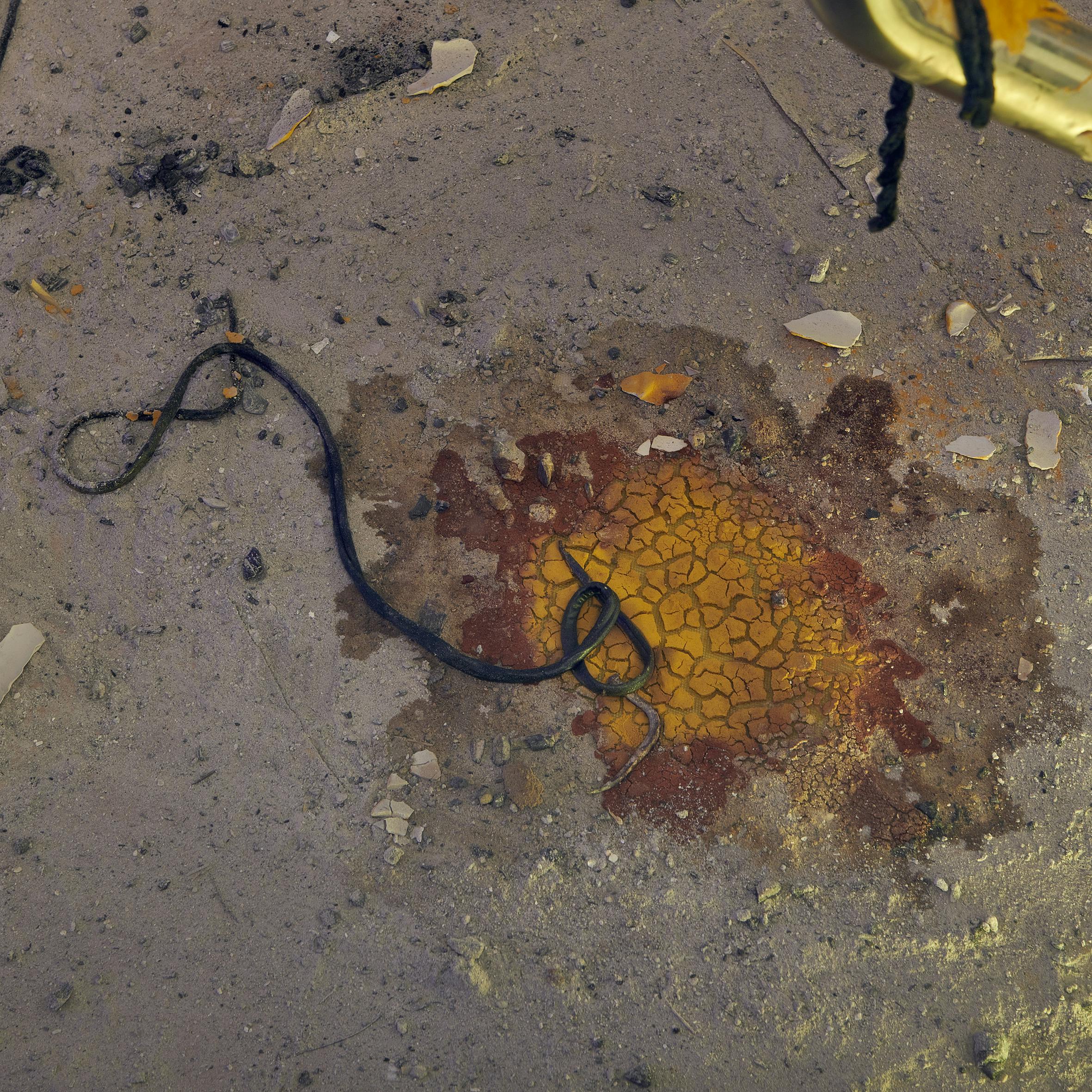 ©Thomas Maisonnasse