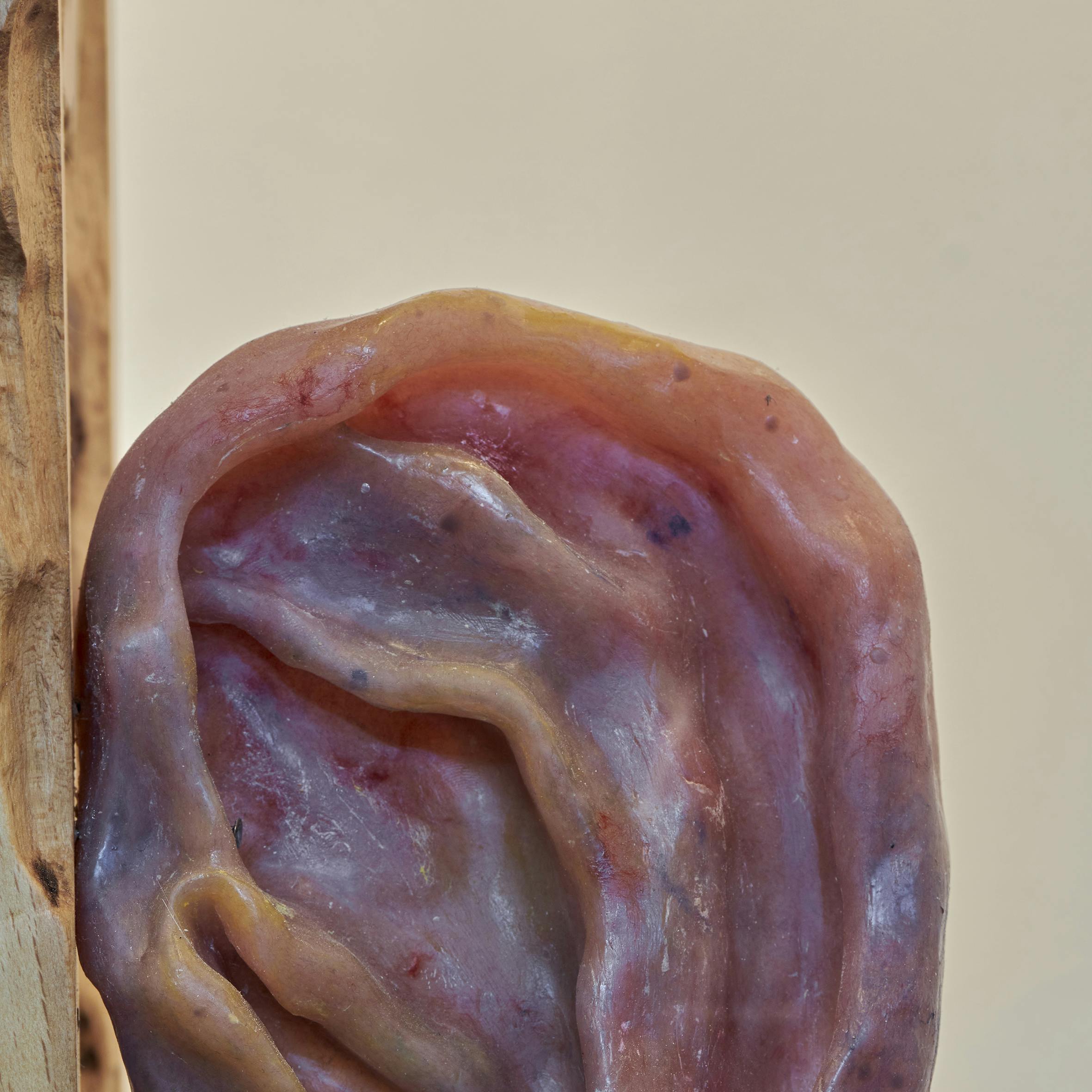 ©Thomas Maisonnasse