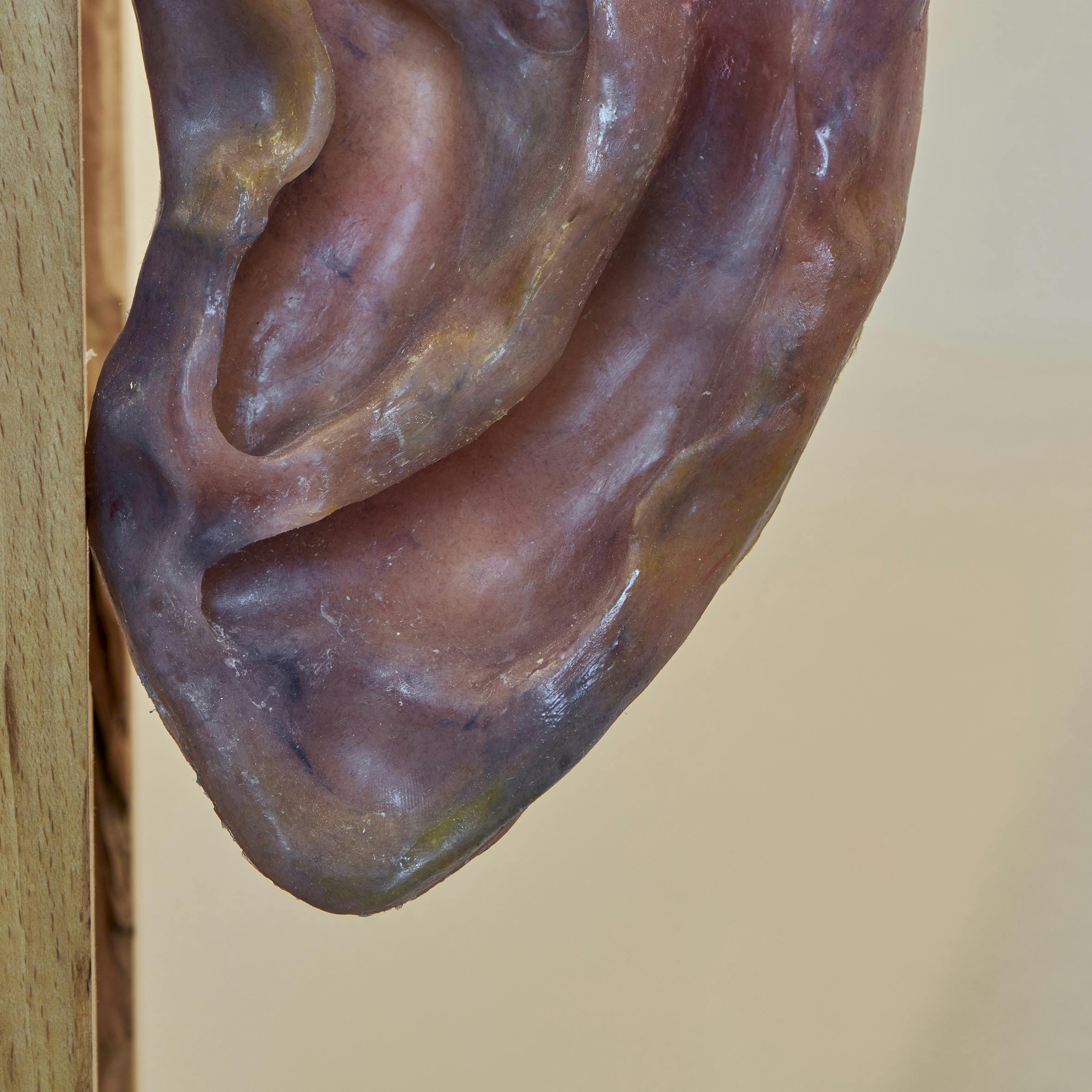 ©Thomas Maisonnasse