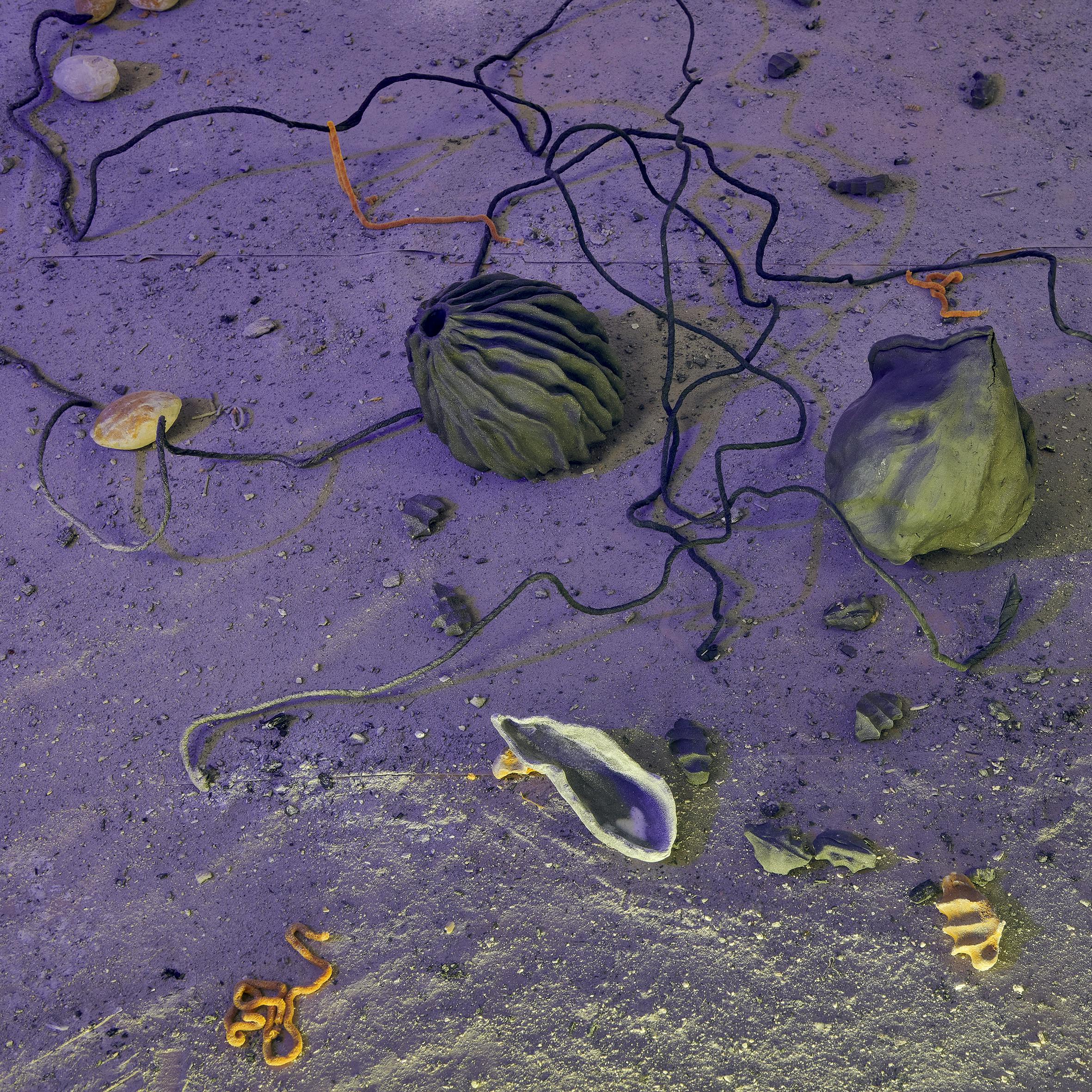 ©Thomas Maisonnasse