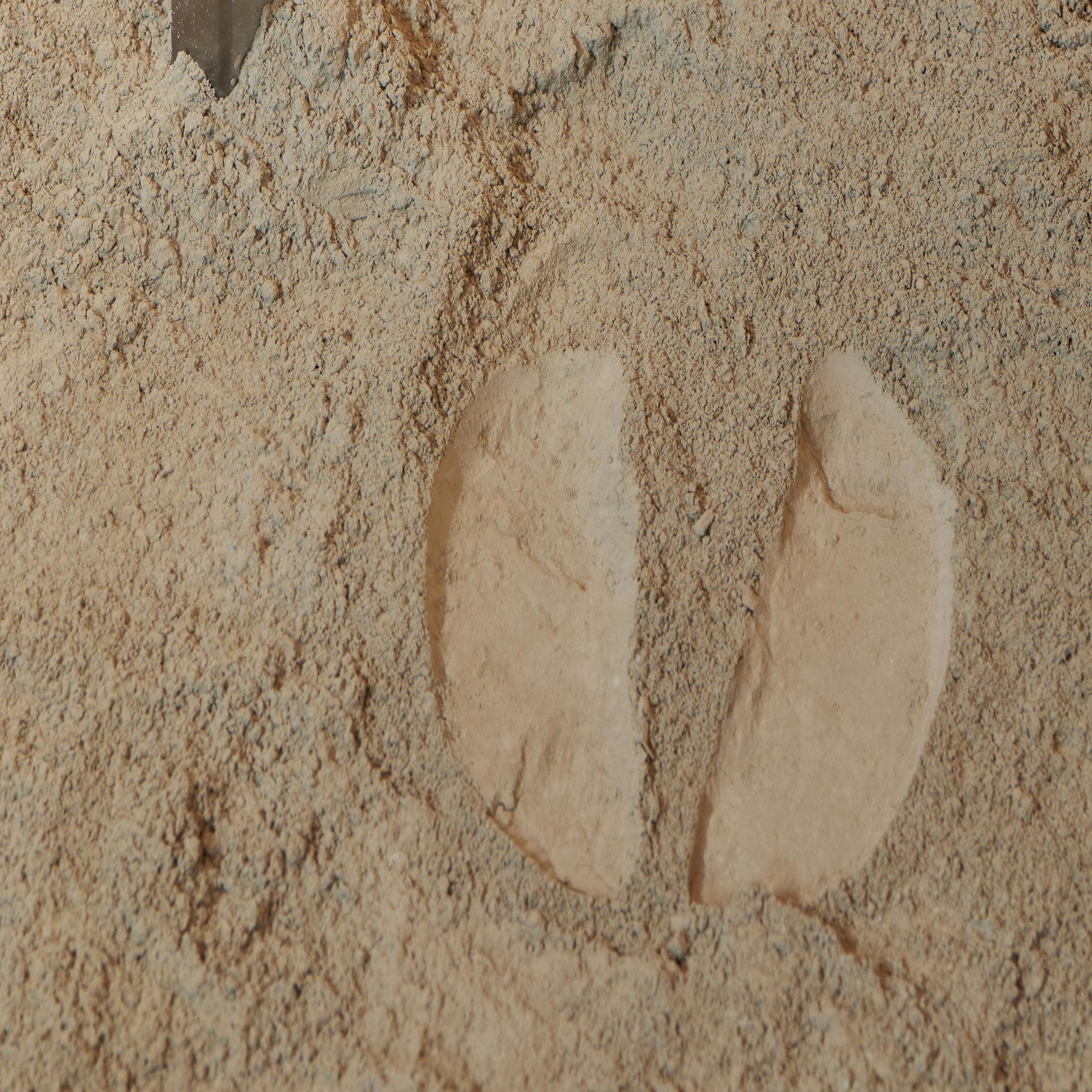 ©Thomas Maisonnasse