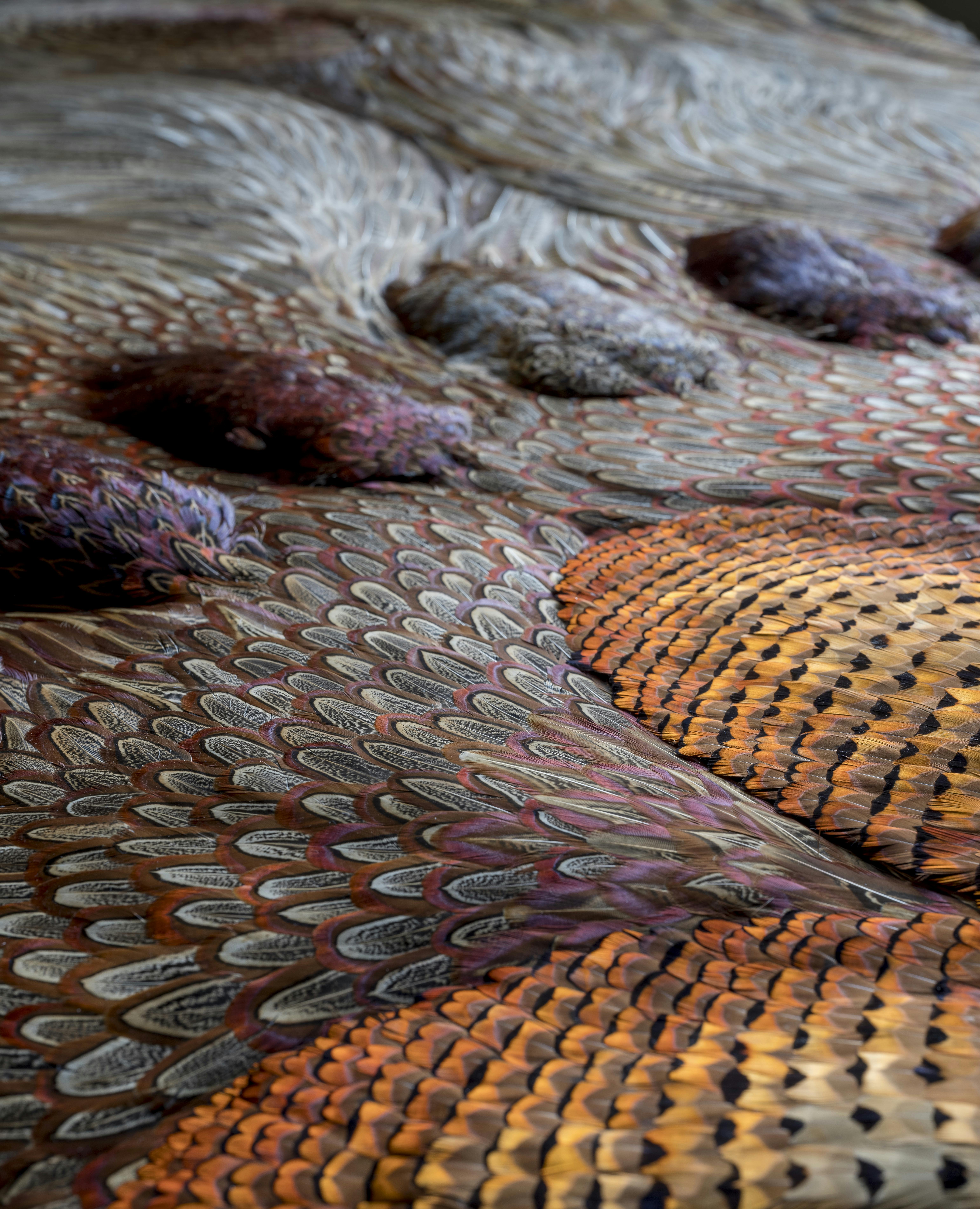Kate MccGwire, CAVORT (2020), detail
mixed media installation with pheasant feathers and bespoke mirror mount 52 x 440 x 240 cm