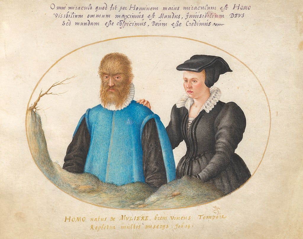 Petrus Gonsalvus et son épouse Catherine Raffelin.