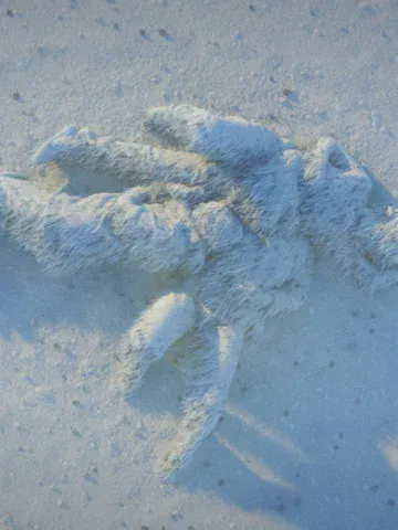 Rentrée artistique à Lille : Un tourbillon d'expositions à ne pas manquer