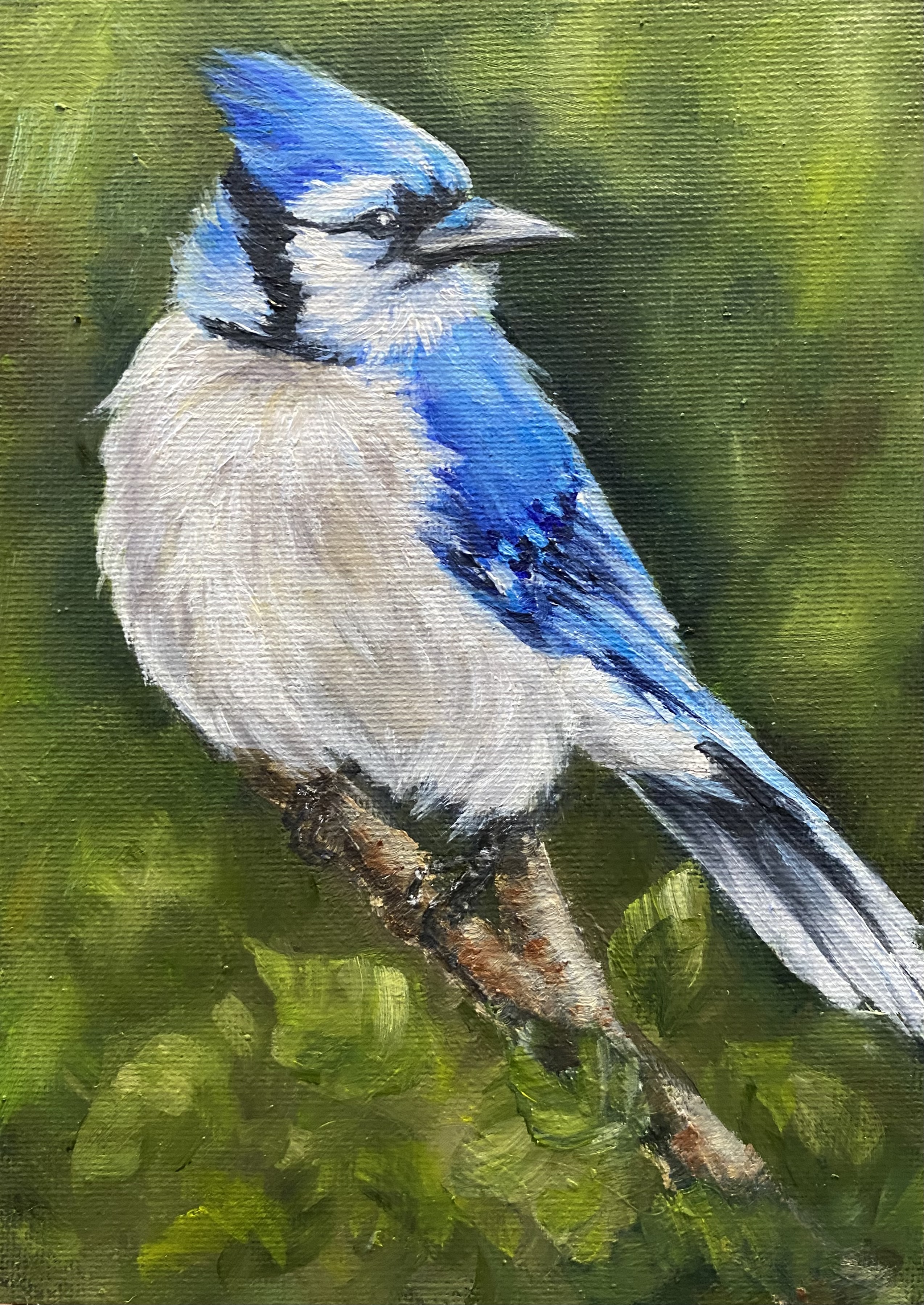 A Carrie Paquette Painting