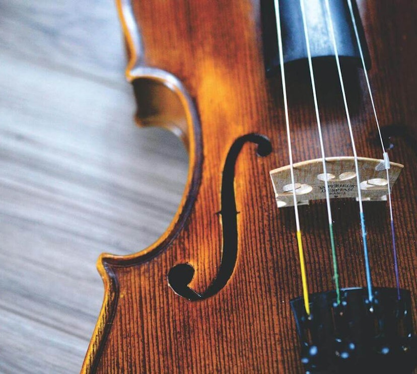 Violon