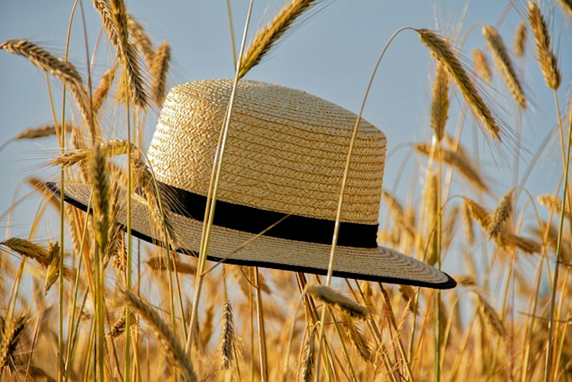 chapeau