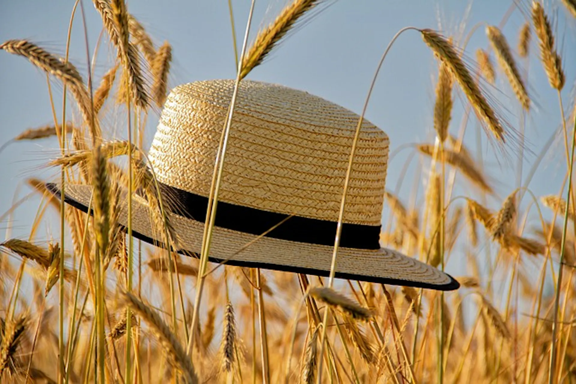chapeau