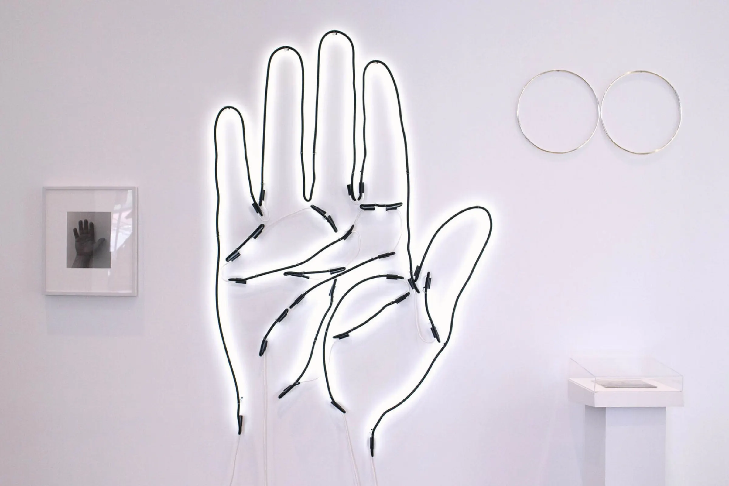 Rosa and Carlos de la Cruz: collecting art as a way of life