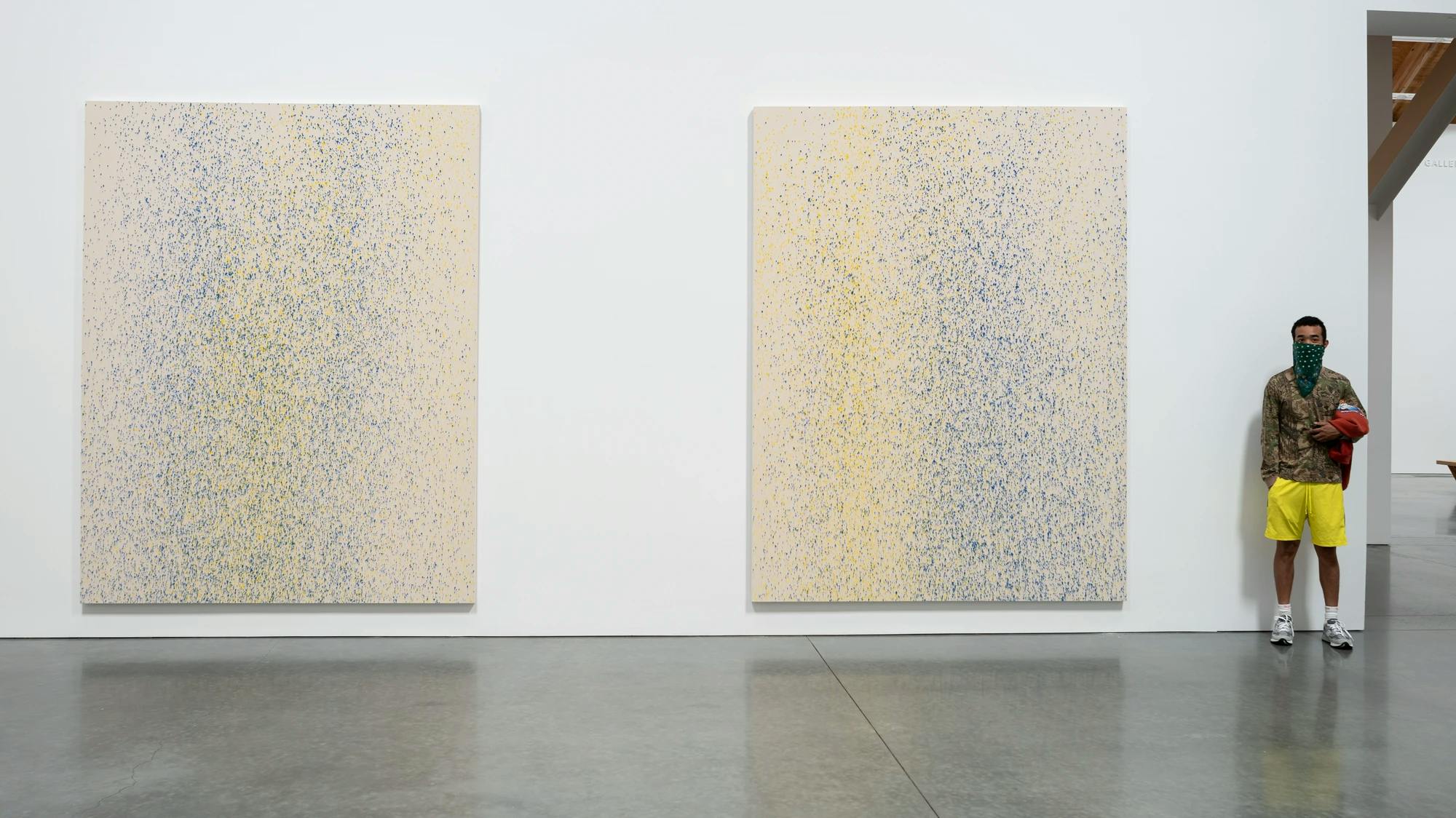 Lucien Smith, Installation view of the exhibition Southhampton Suite at the Parrish Art Museum, Water Mill, NY. 10 works, LSMI - 1-20 (Blu & Yellow)