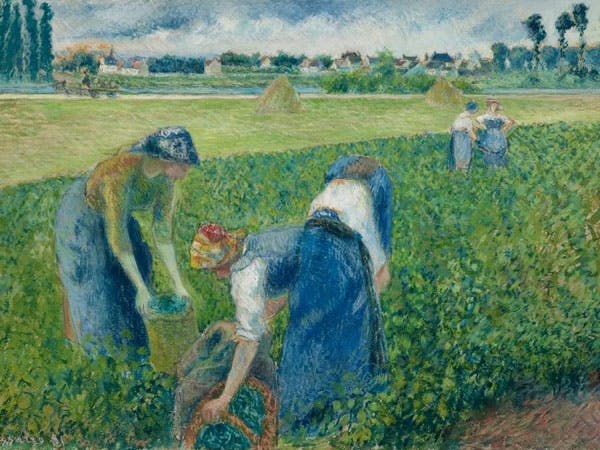 Camille Pissarro (1830-1903)
Paysannes travaillant dans les champs, Pontoise, 1881
Estimation : 600 000 - 800 000 €