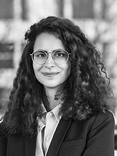 <p>Anaël El-Hani</p>