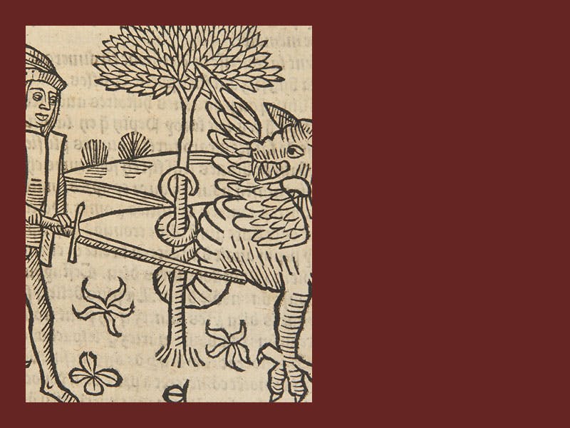 <h2>Bibliothèque Jean Bourdel : Troisième partie</h2>