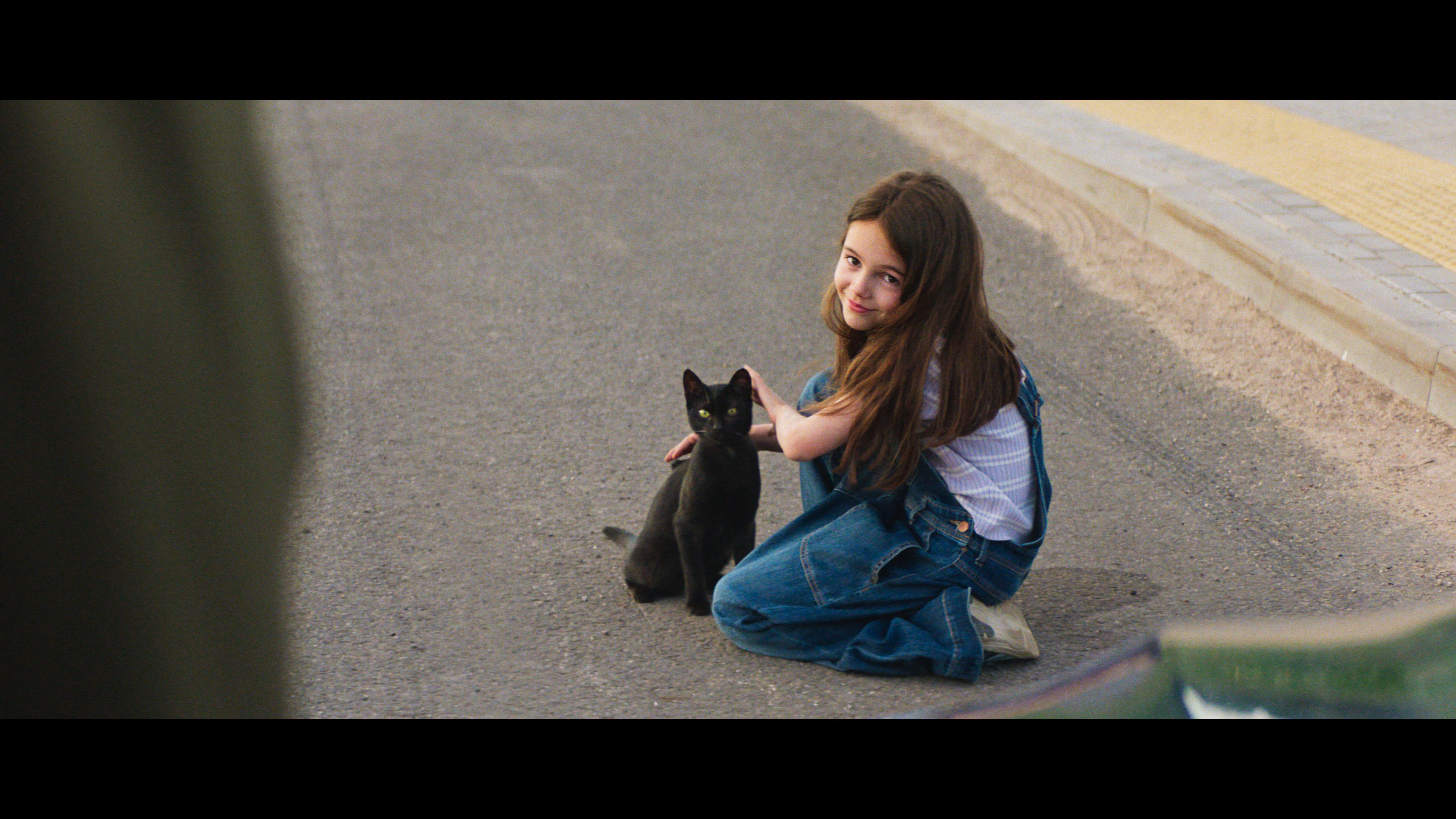 Direct Assurance-Black Cat