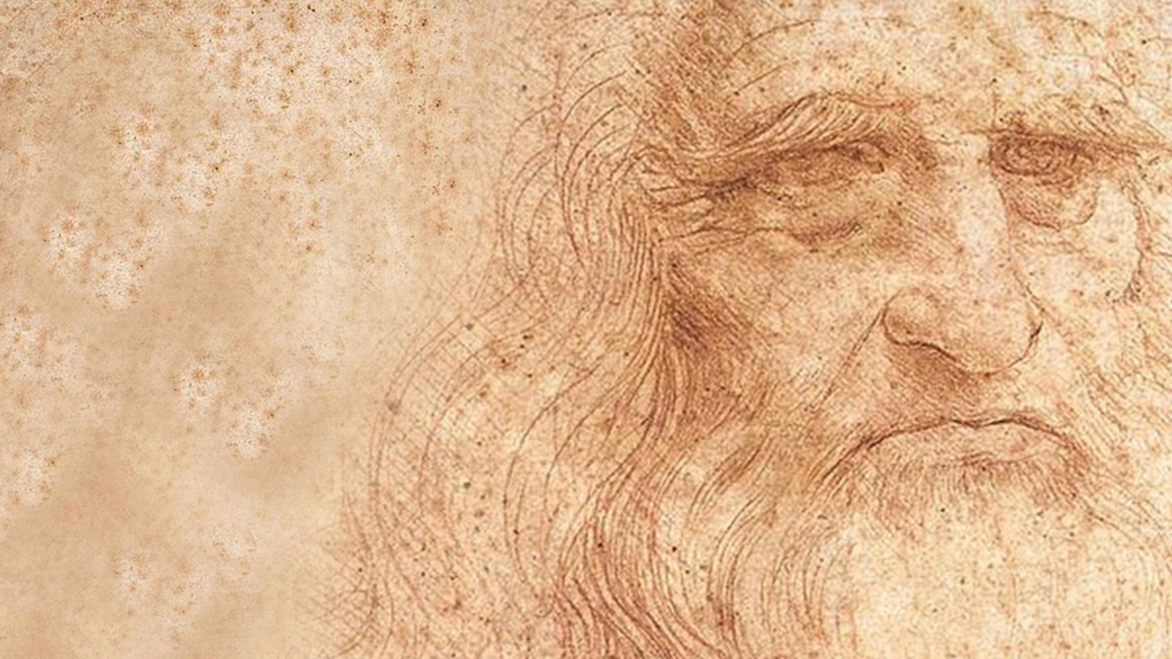 Da vinci 2. Leonardo da Vinci. Леонардо да Винчи автопортрет. Портрет Леонардо да Винчи в линиях. Леонардо да Винчи – портрет бородатого мужчины.